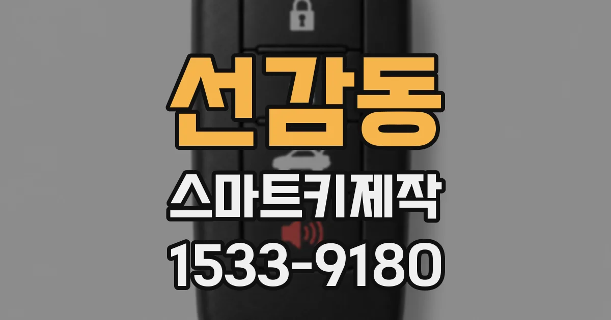 선감동 스마트키제작