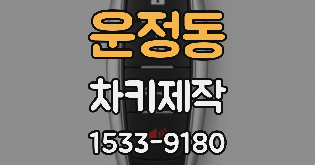운정동 차키제작