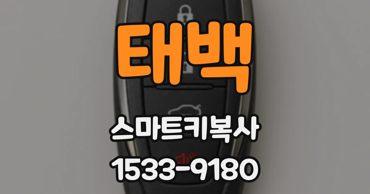 태백 스마트키복사