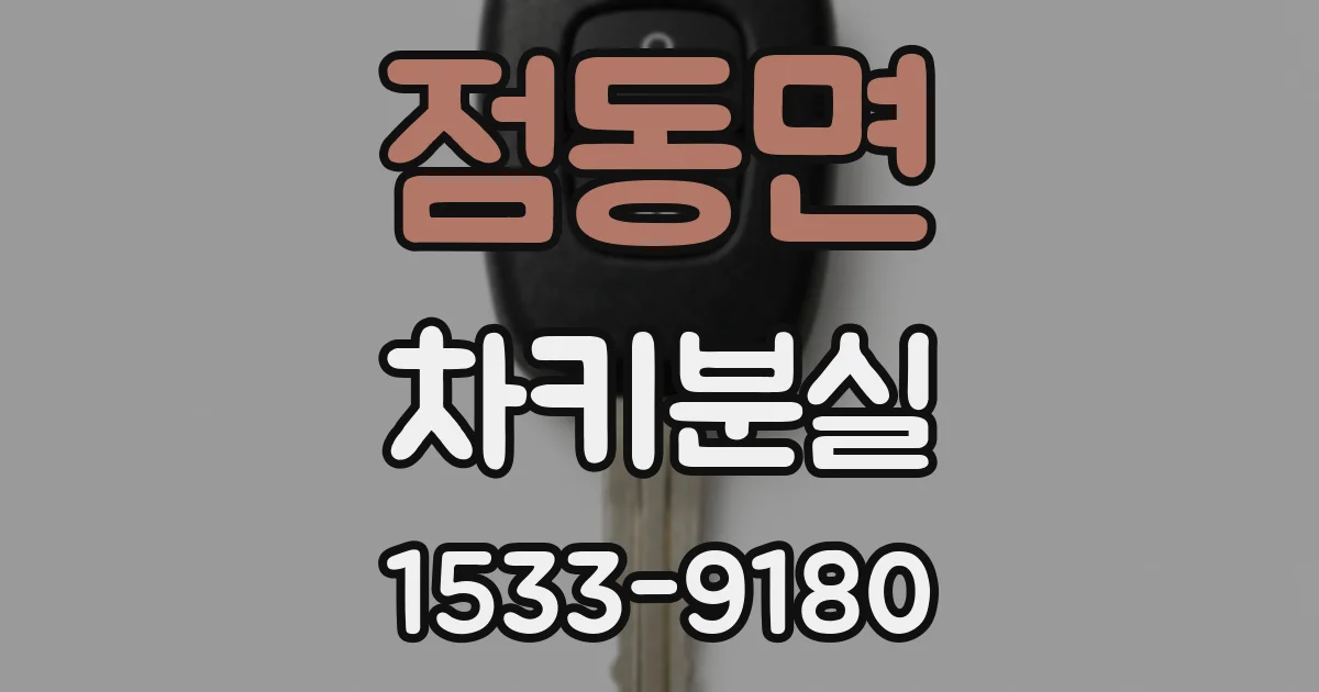 점동면 차키분실