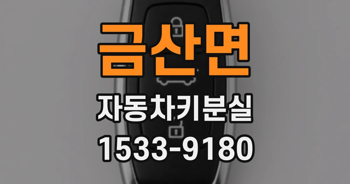 금산면 자동차키분실