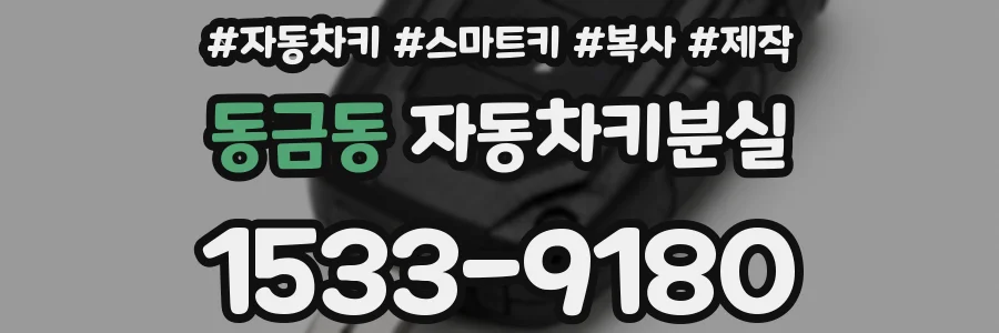 동금동 자동차키분실