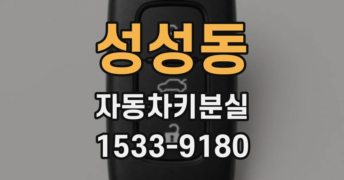 성성동 자동차키분실