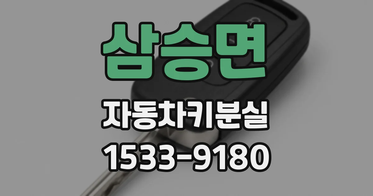 삼승면 자동차키분실