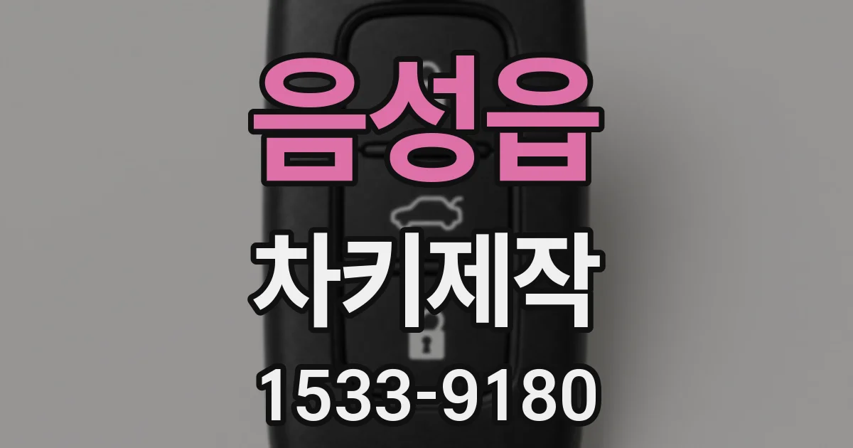 음성읍 차키제작