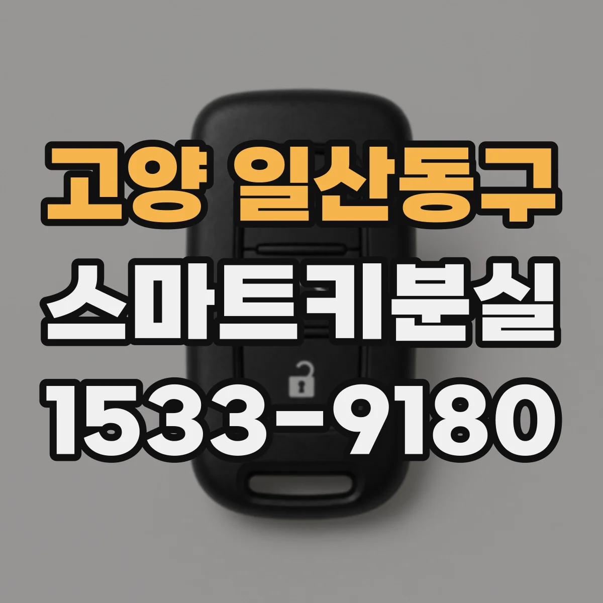 고양 일산동구 스마트키분실