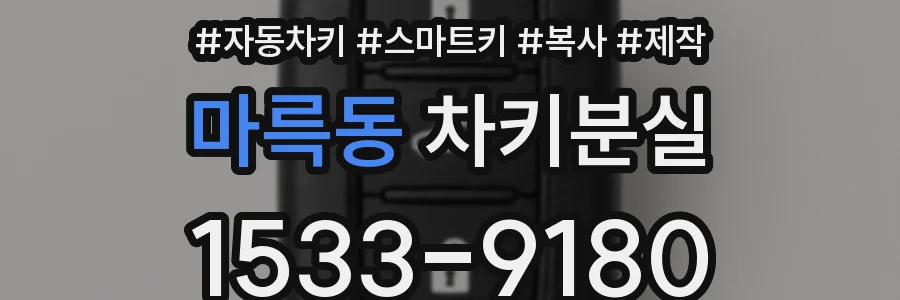 마륵동 차키분실