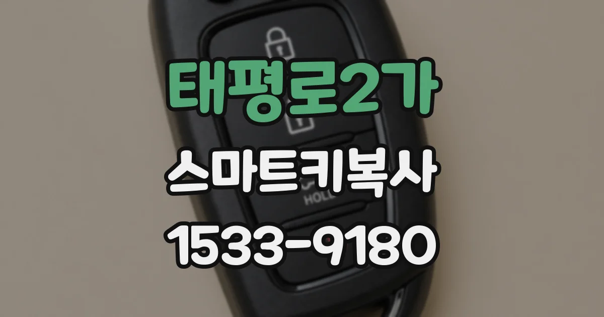 태평로2가 스마트키복사