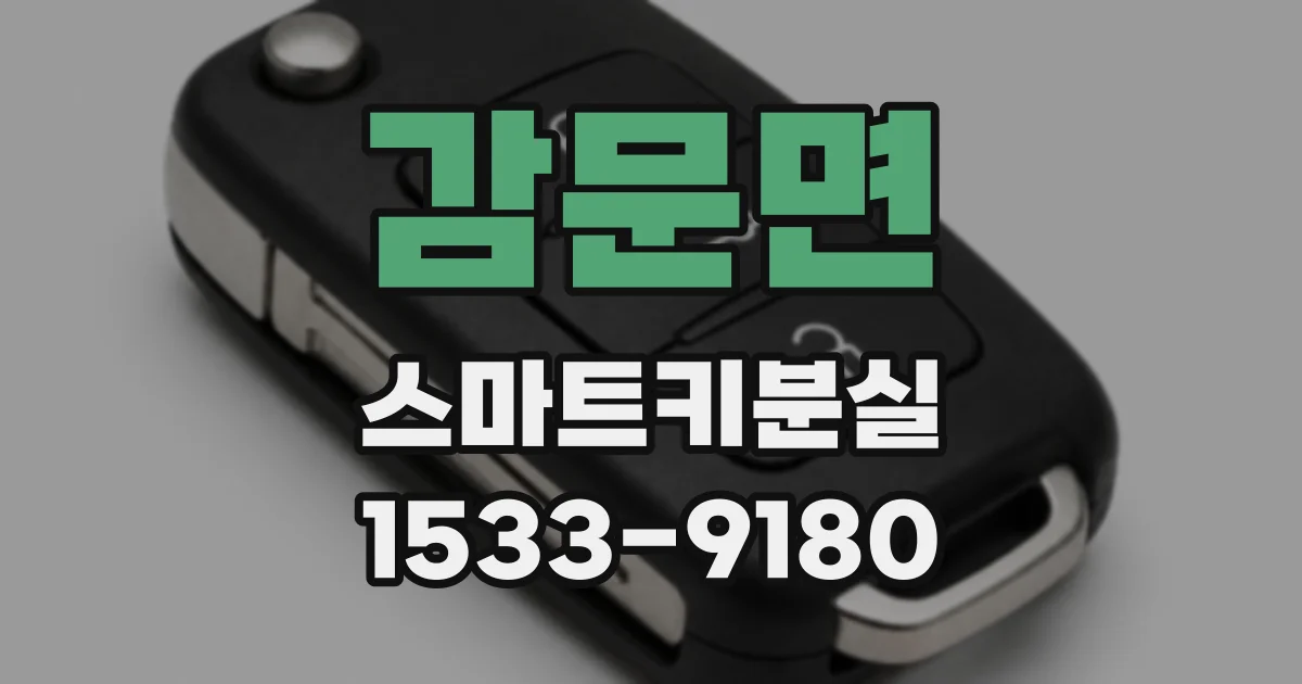 감문면 스마트키분실