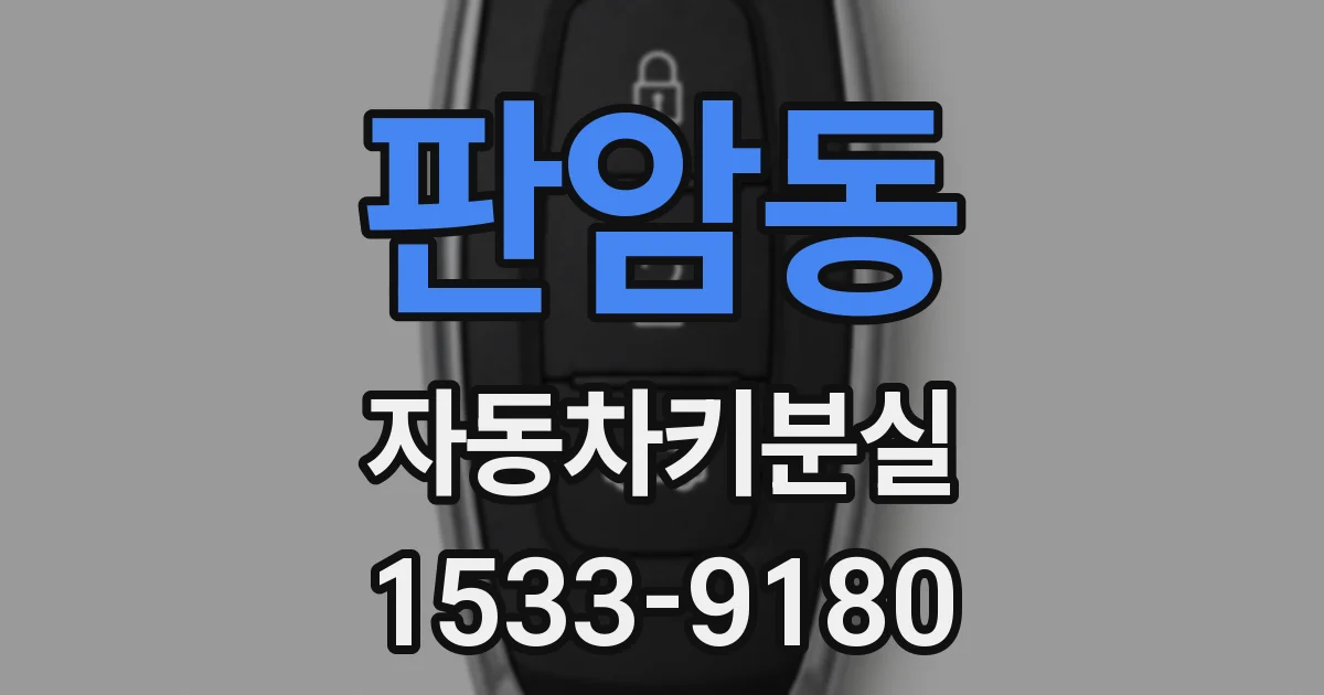 판암동 자동차키분실