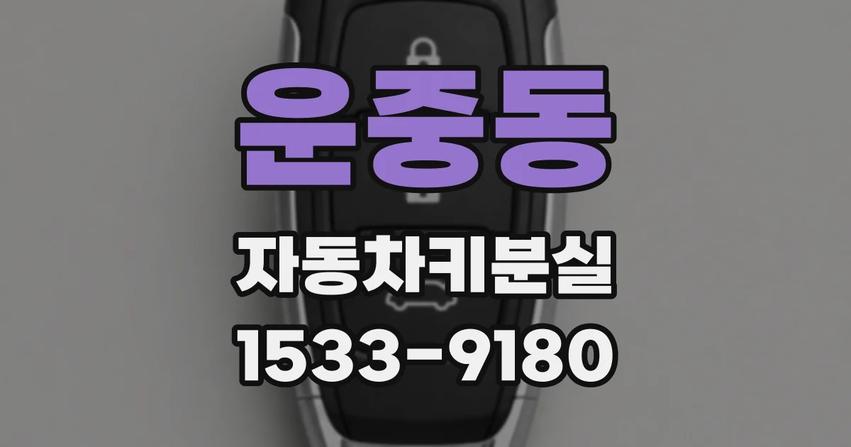 운중동 자동차키분실