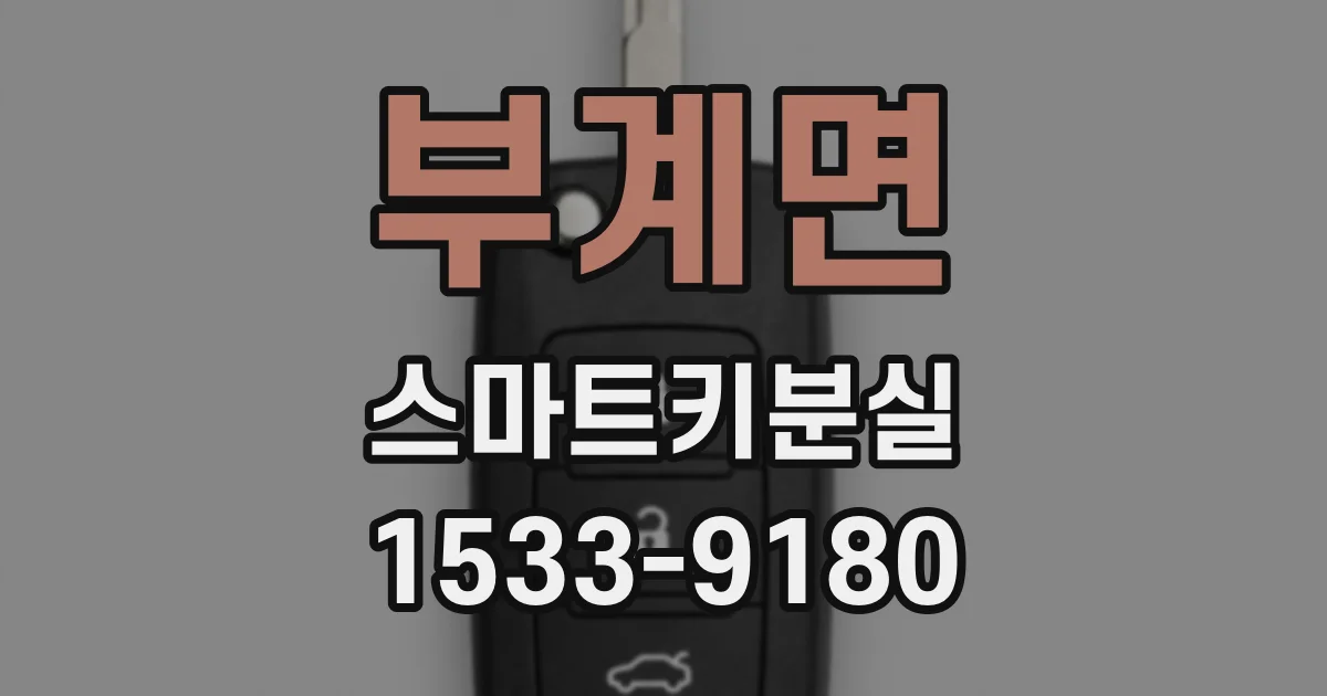부계면 스마트키분실