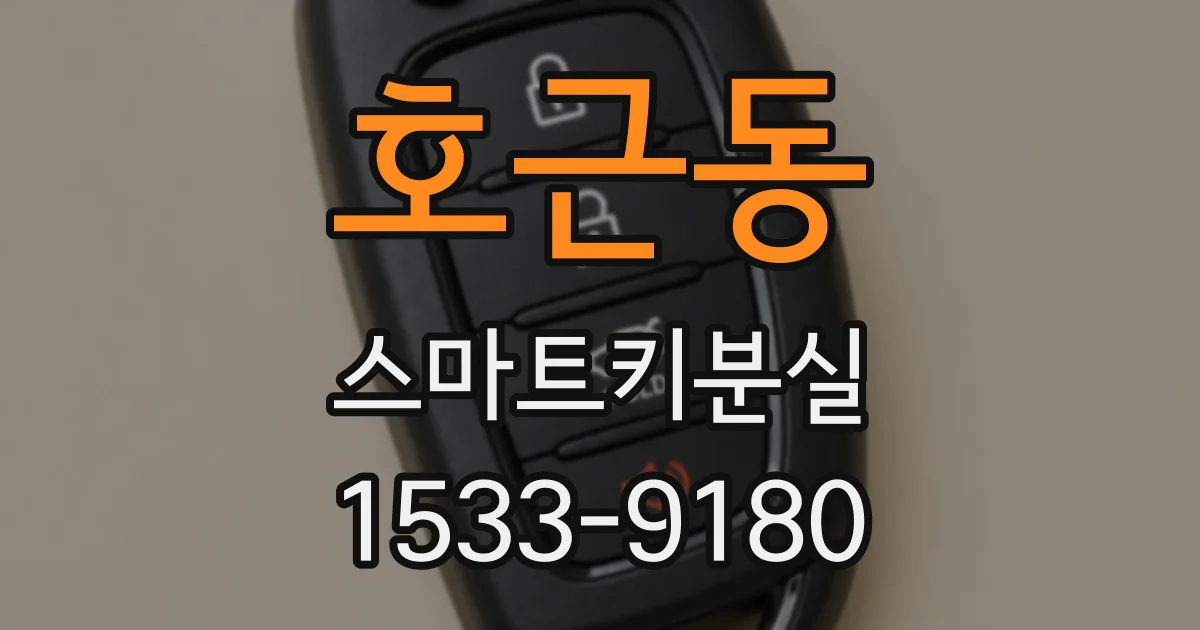 호근동 스마트키분실