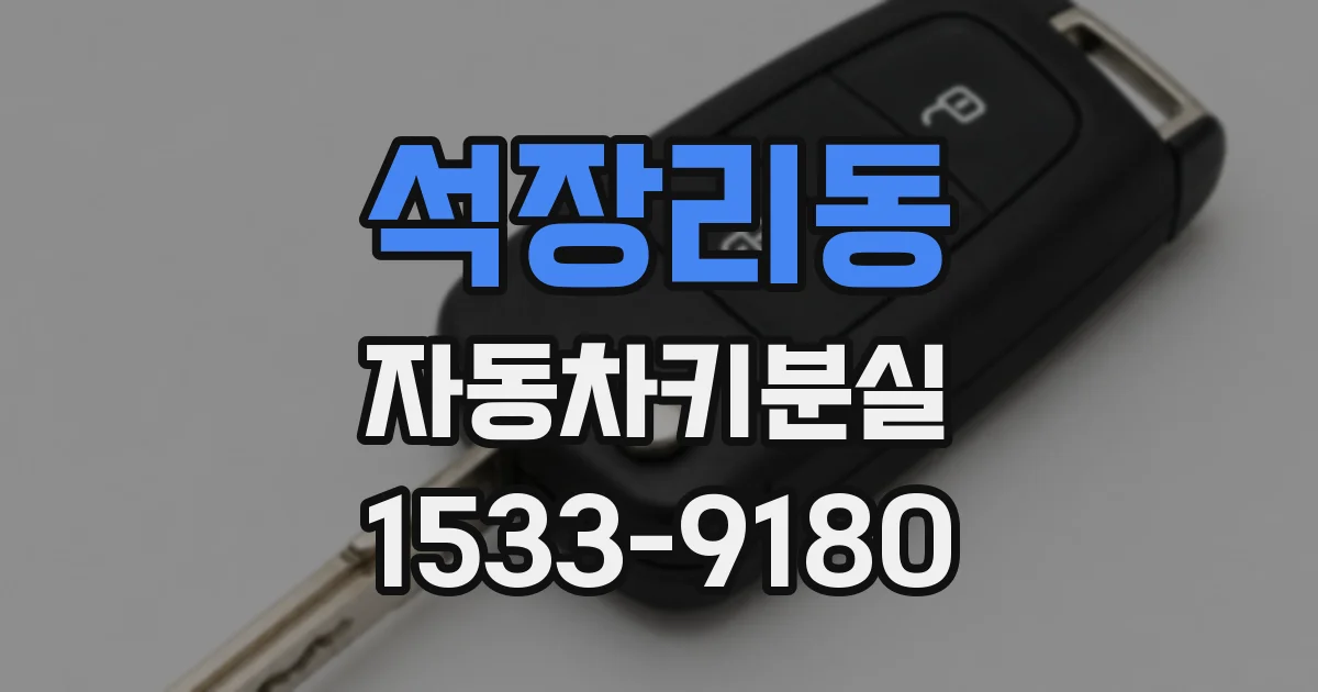 석장리동 자동차키분실