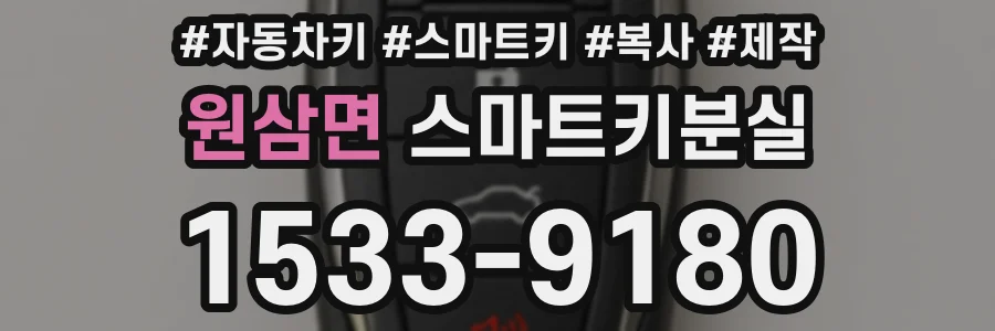 원삼면 스마트키분실