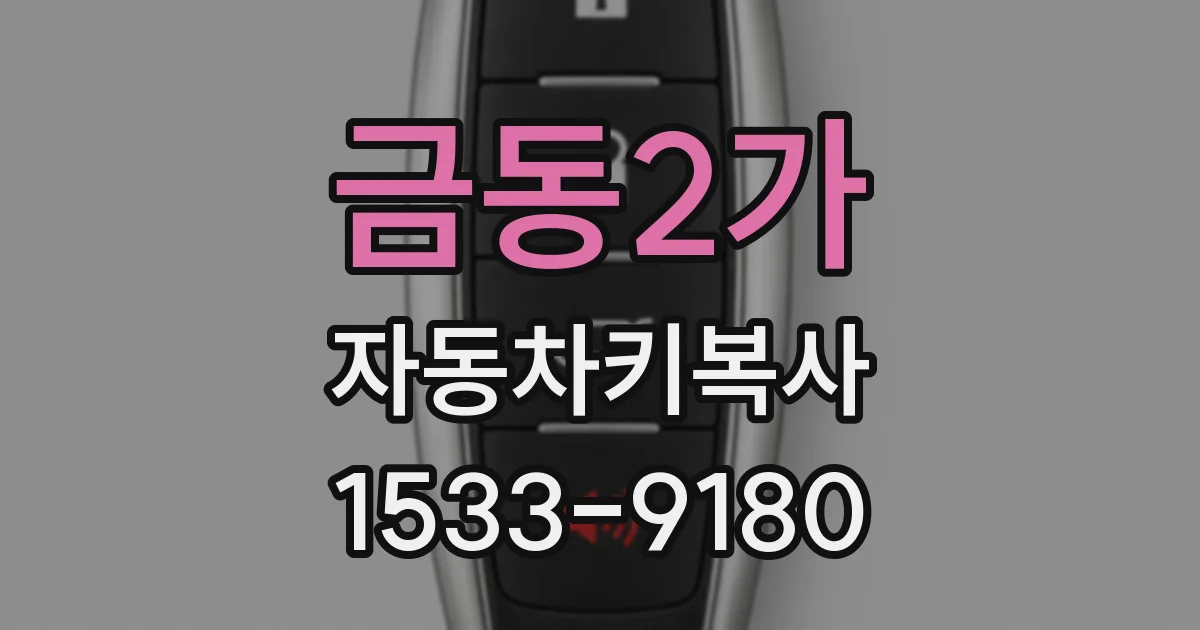 금동2가 자동차키복사