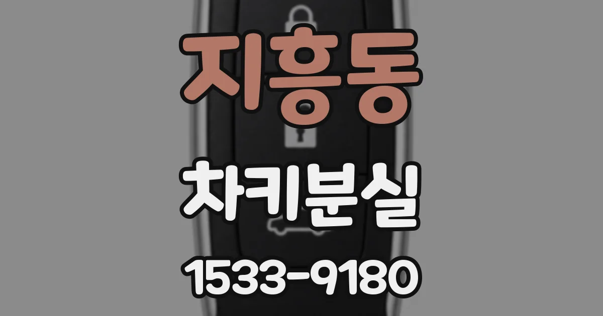 지흥동 차키분실