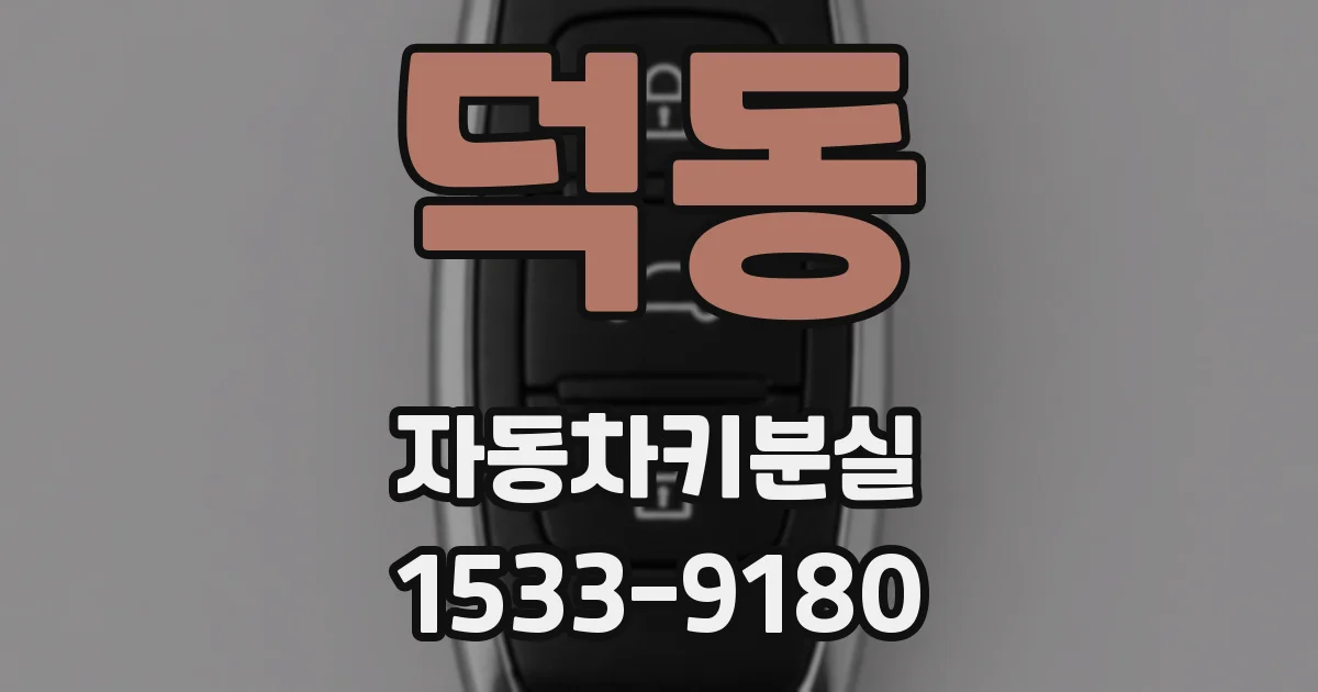 덕동 자동차키분실
