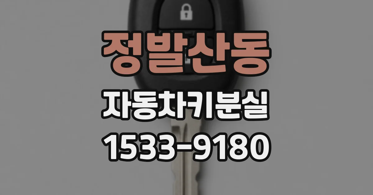 정발산동 자동차키분실