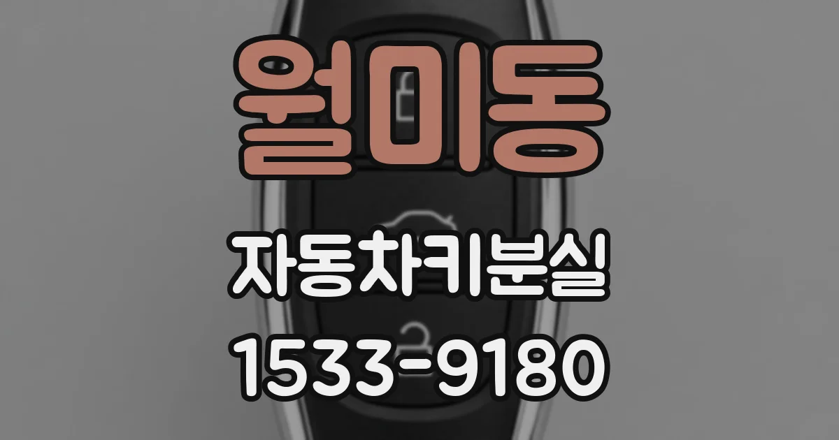 월미동 자동차키분실