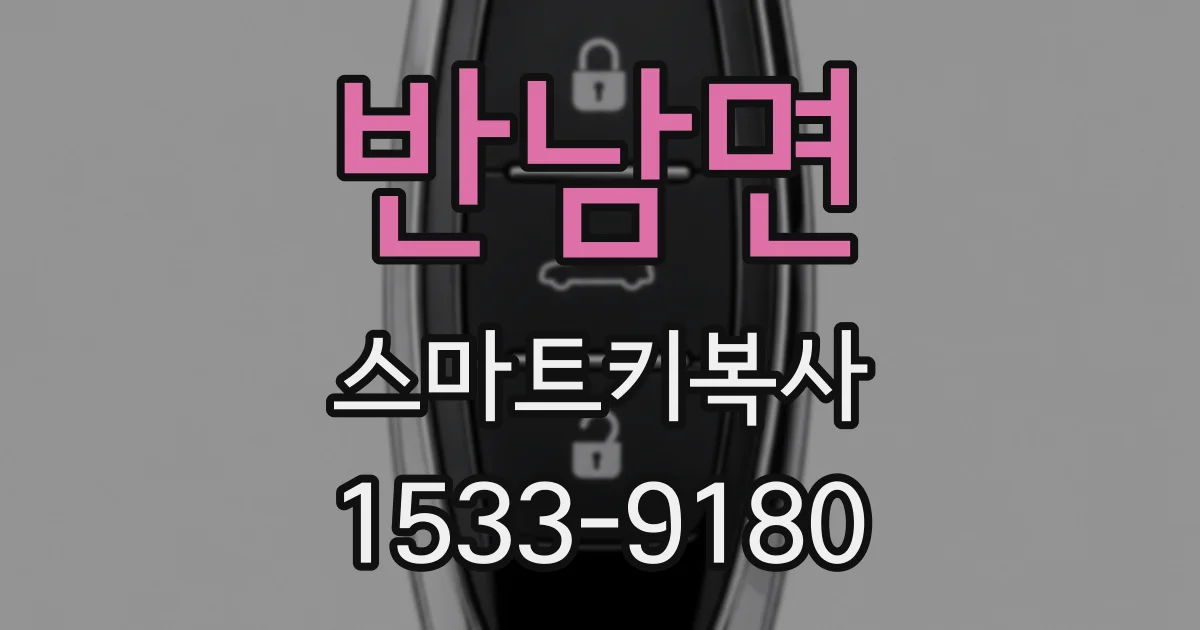 반남면 스마트키복사