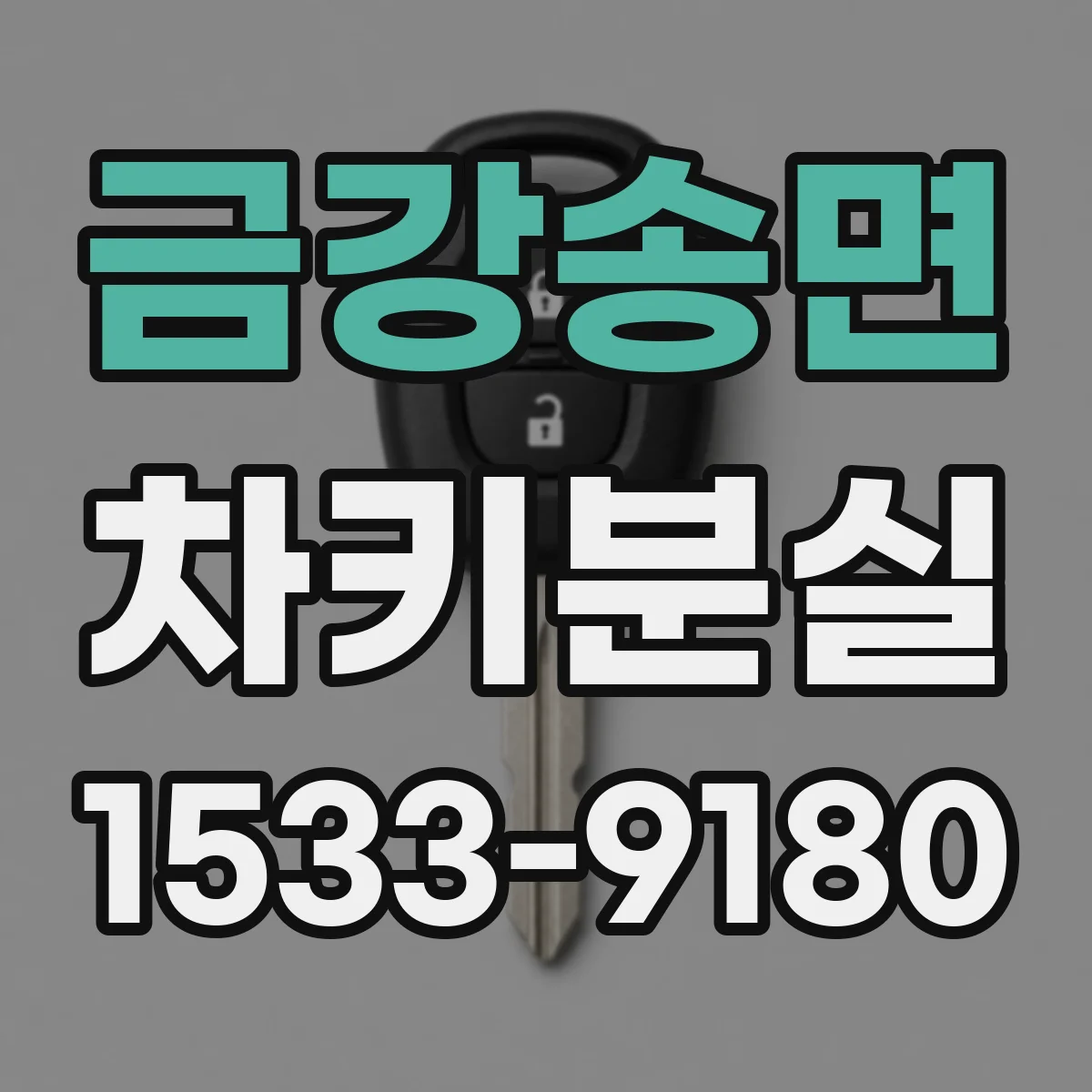 금강송면 차키분실