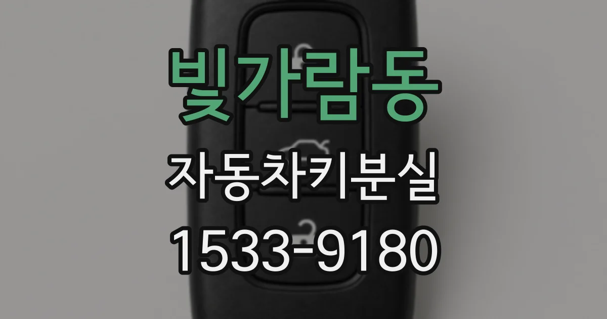 빛가람동 자동차키분실