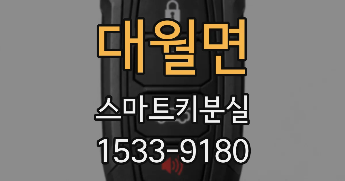 대월면 스마트키분실