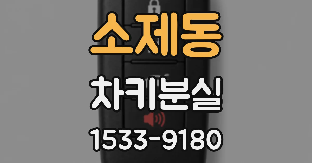 소제동 차키분실