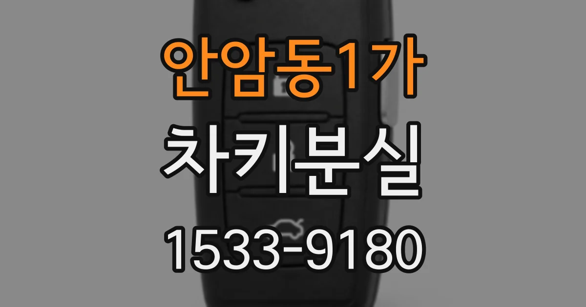 안암동1가 차키분실
