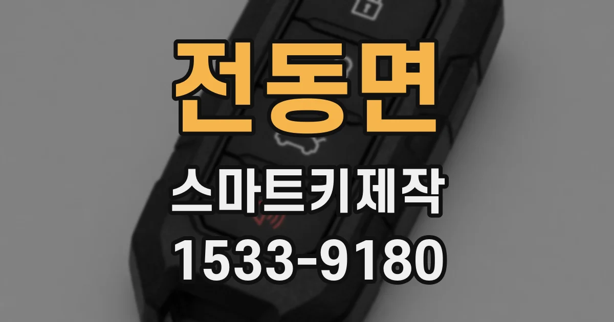전동면 스마트키제작