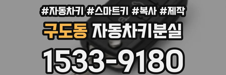구도동 자동차키분실