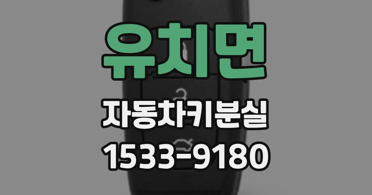 유치면 자동차키분실