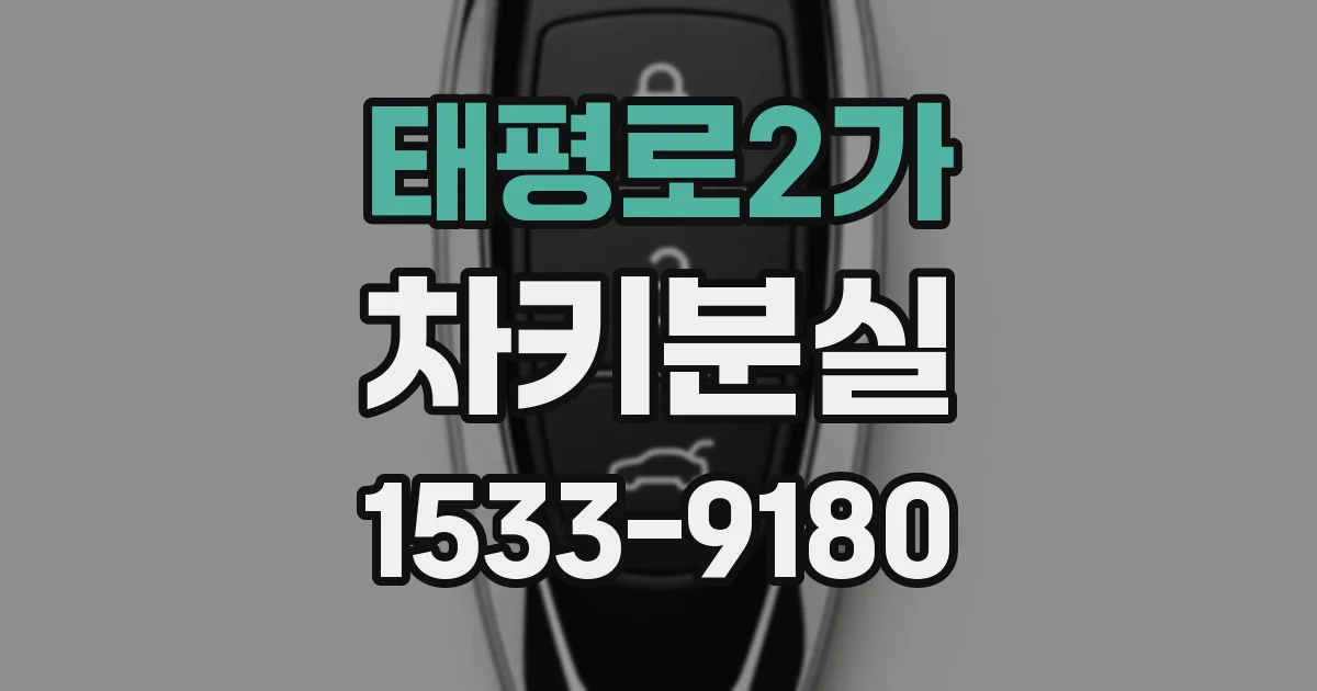 태평로2가 차키분실