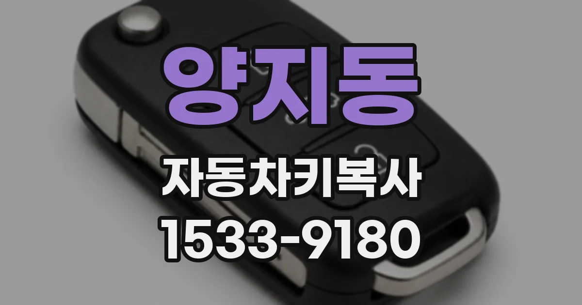 양지동 자동차키복사