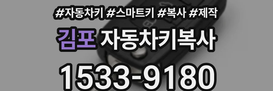 김포 자동차키복사