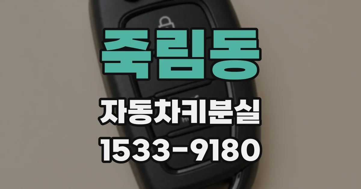죽림동 자동차키분실