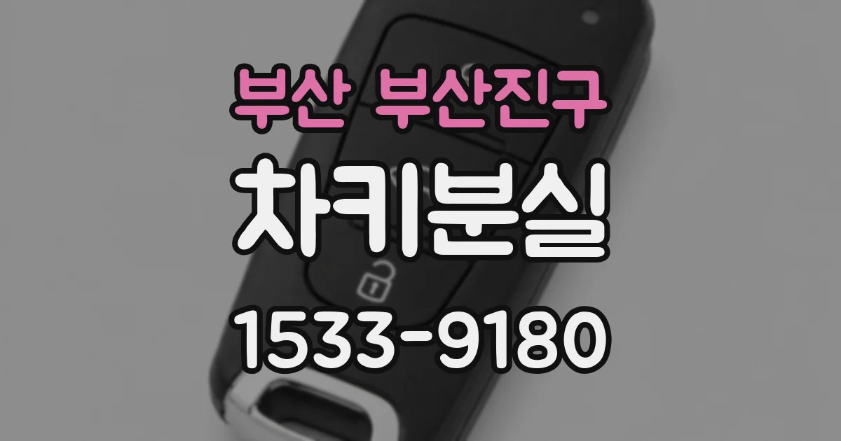 부산 부산진구 차키분실