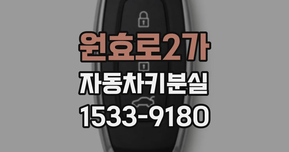 원효로2가 자동차키분실