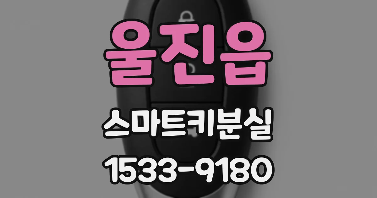 울진읍 스마트키분실