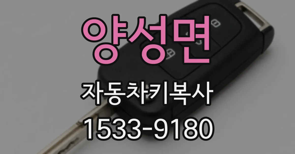 양성면 자동차키복사