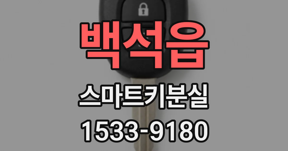 백석읍 스마트키분실