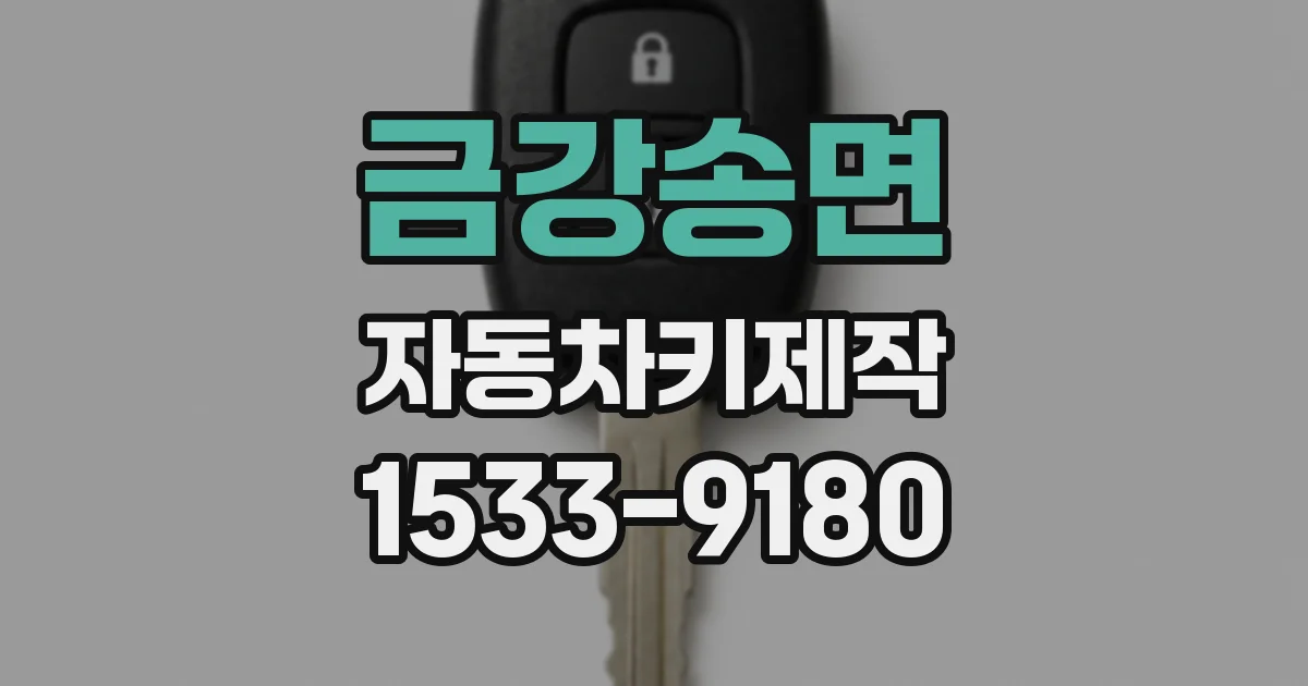 금강송면 자동차키제작