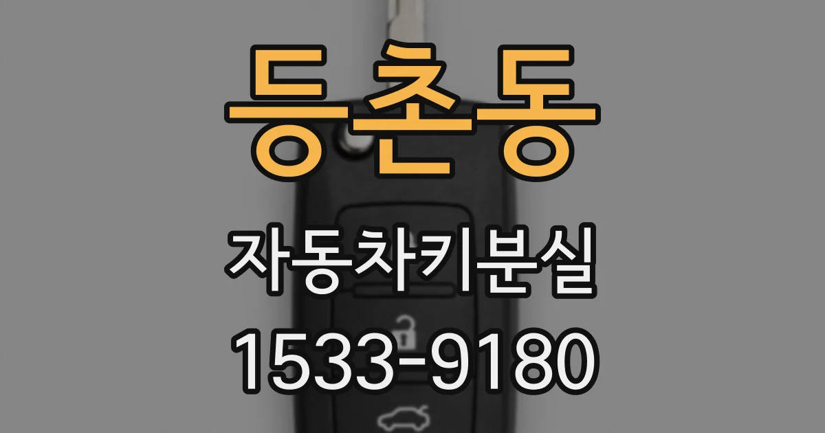 등촌동 자동차키분실