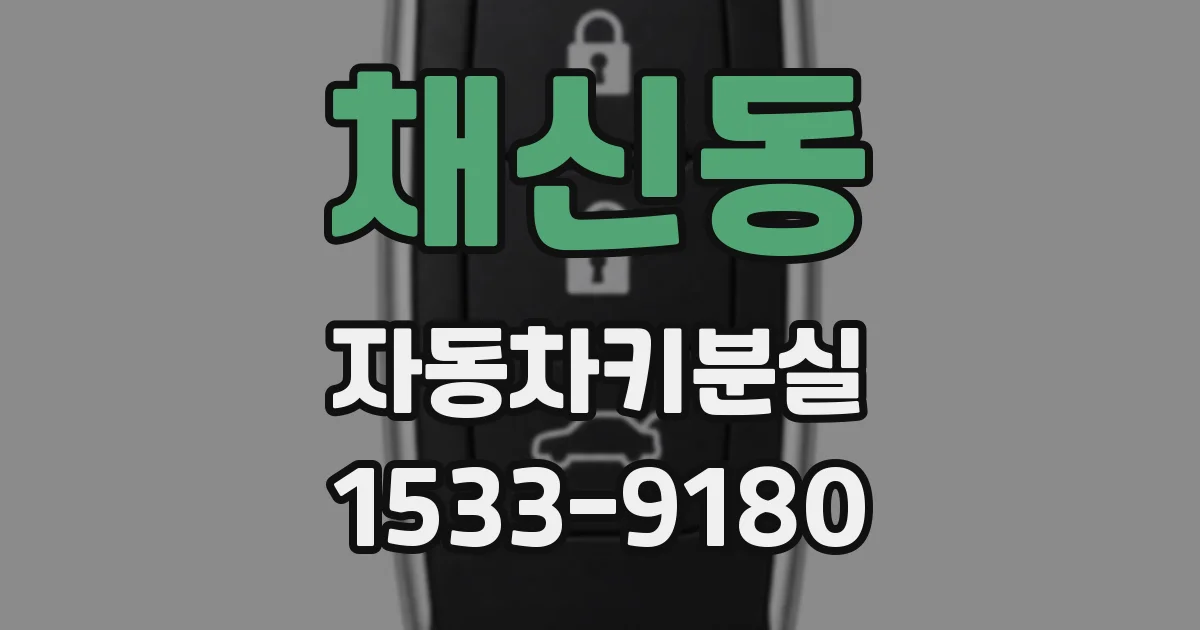 채신동 자동차키분실