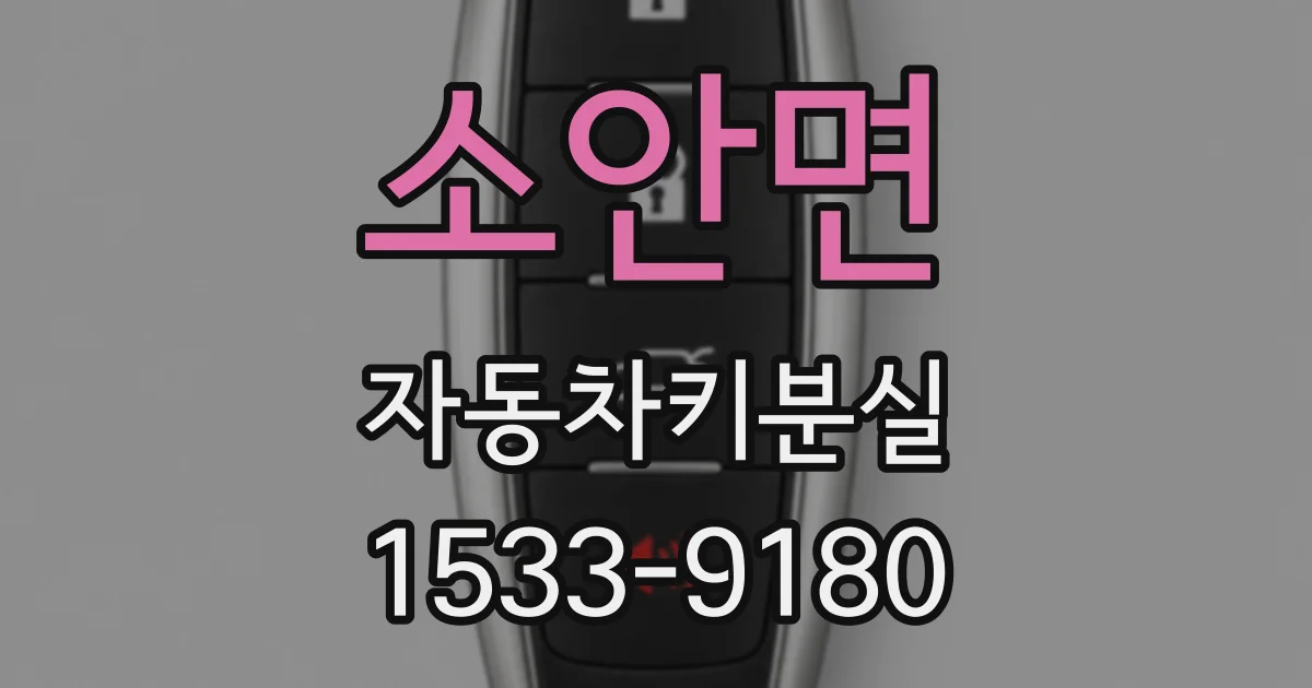 소안면 자동차키분실