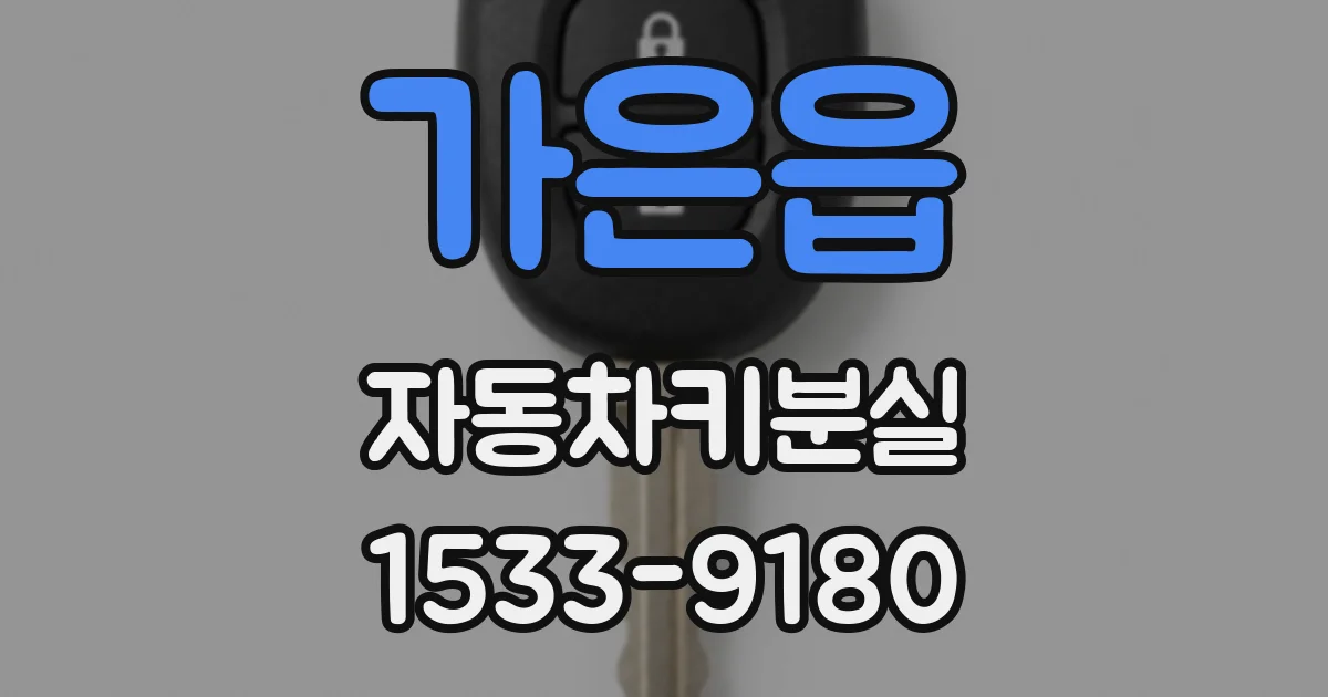 가은읍 자동차키분실