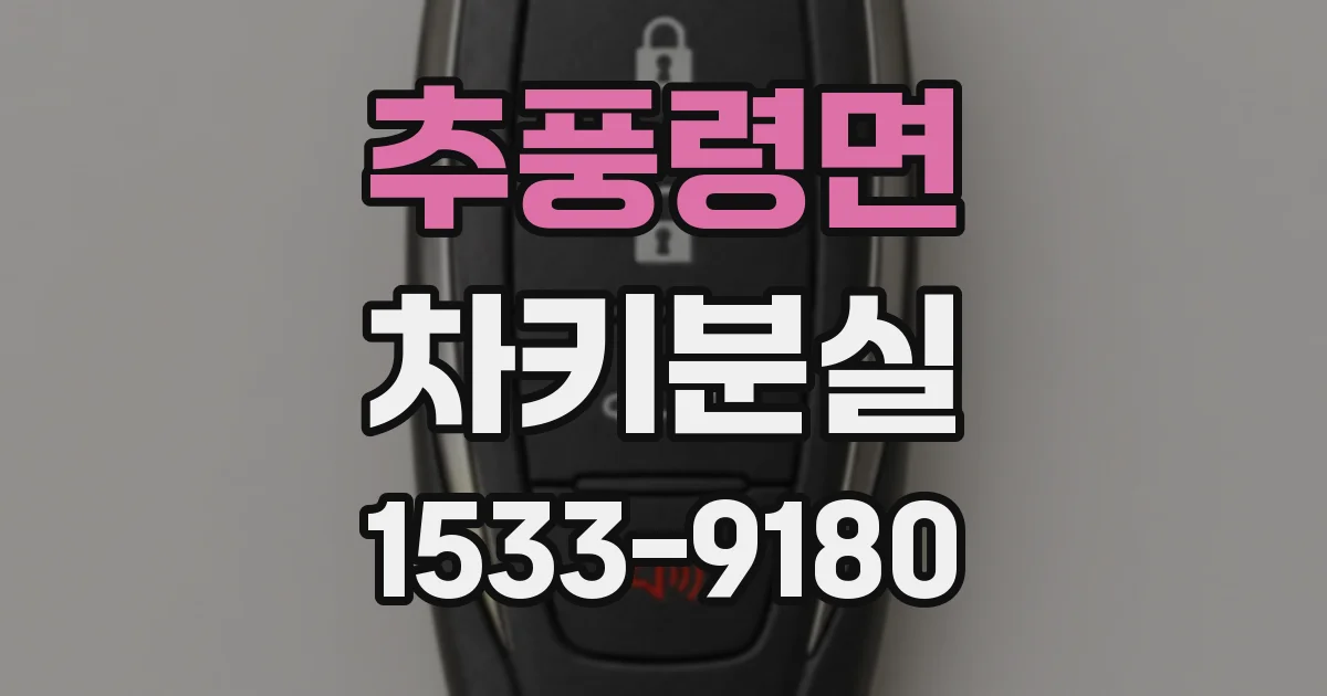 추풍령면 차키분실