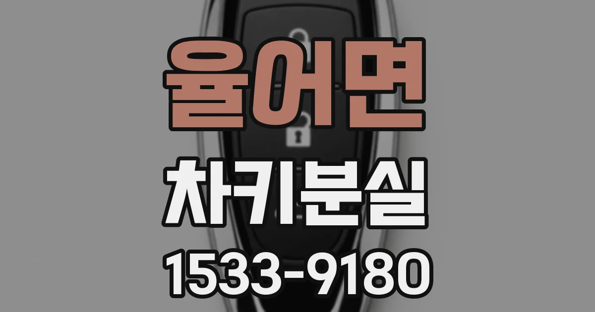 율어면 차키분실