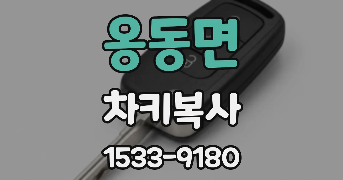 옹동면 차키복사